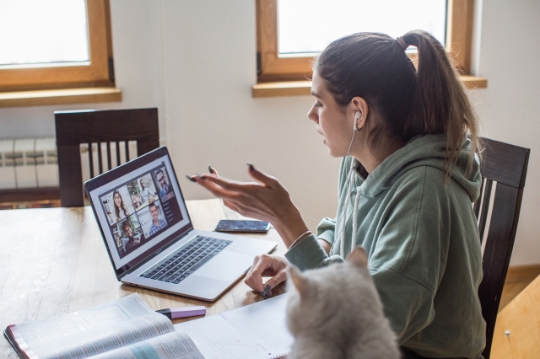 The Pros and Cons of Online Learning 